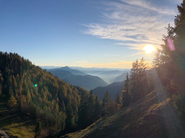 Ferienwohnungen Urlaub mit Hunde