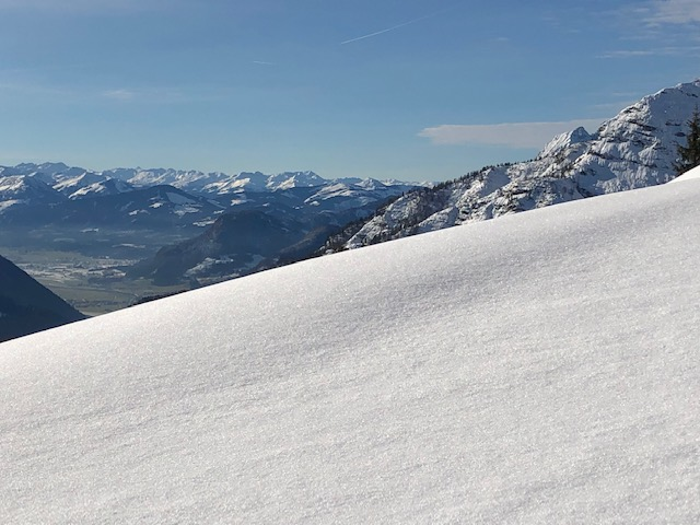 Ferienwohnungen Urlaub mit Hunde