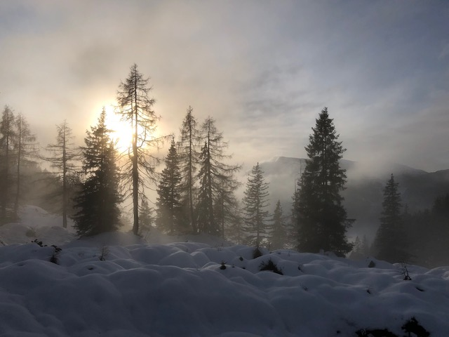 Ferienwohnungen Urlaub mit Hunde
