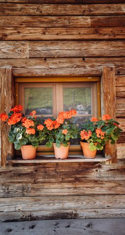 Appartements Martenhof