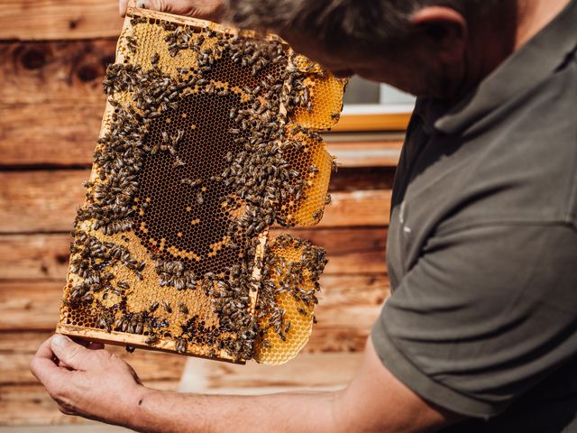 Appartements Martenhof