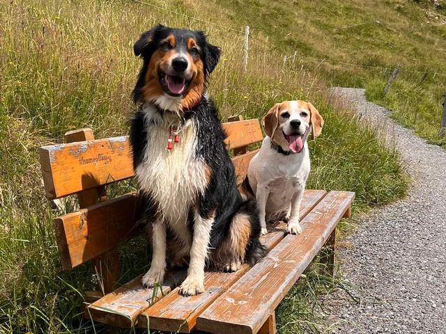 Ferienwohnungen Stefanie & Bergerhäusl